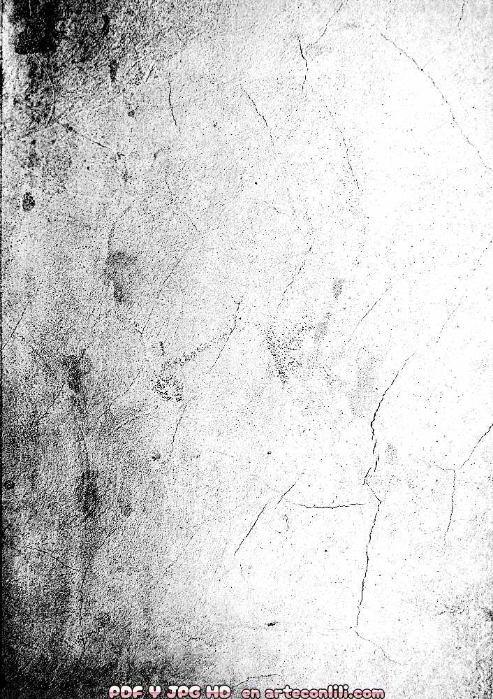 fondo blanco y negro con textura paredrota 01